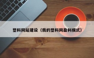 龙岩塑料网站建设（我的塑料网盈利模式）