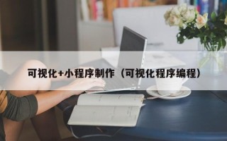龙岩可视化+小程序制作（可视化程序编程）